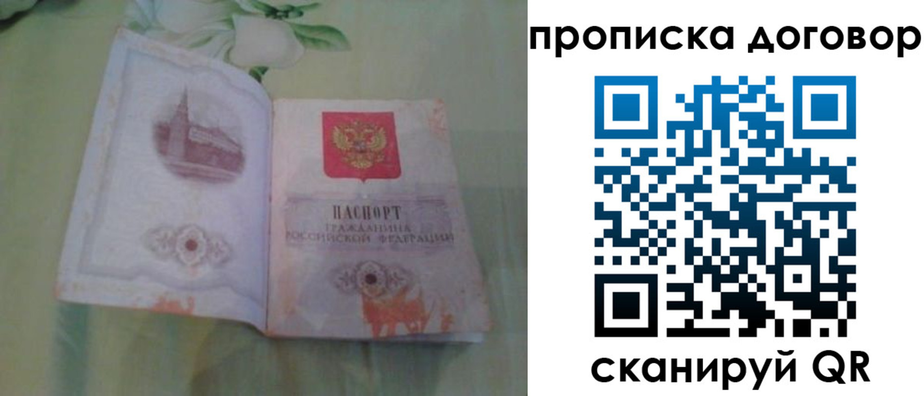 временная регистрация гарантия в Курской области